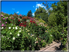 foto Giardini Trauttmansdorff - Paesaggi dell'Alto Adige